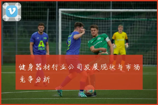 健身器材行业公司发展现状与市场竞争分析