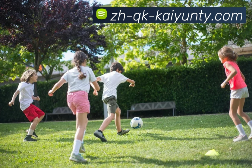 ky开云平台生态图